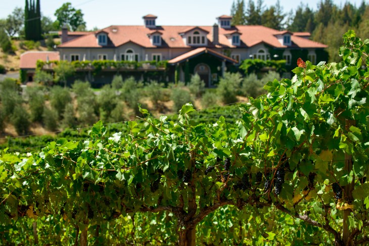 0352_d800b_Byington_Winery_Los_Gatos_Commercial_Photography (1)